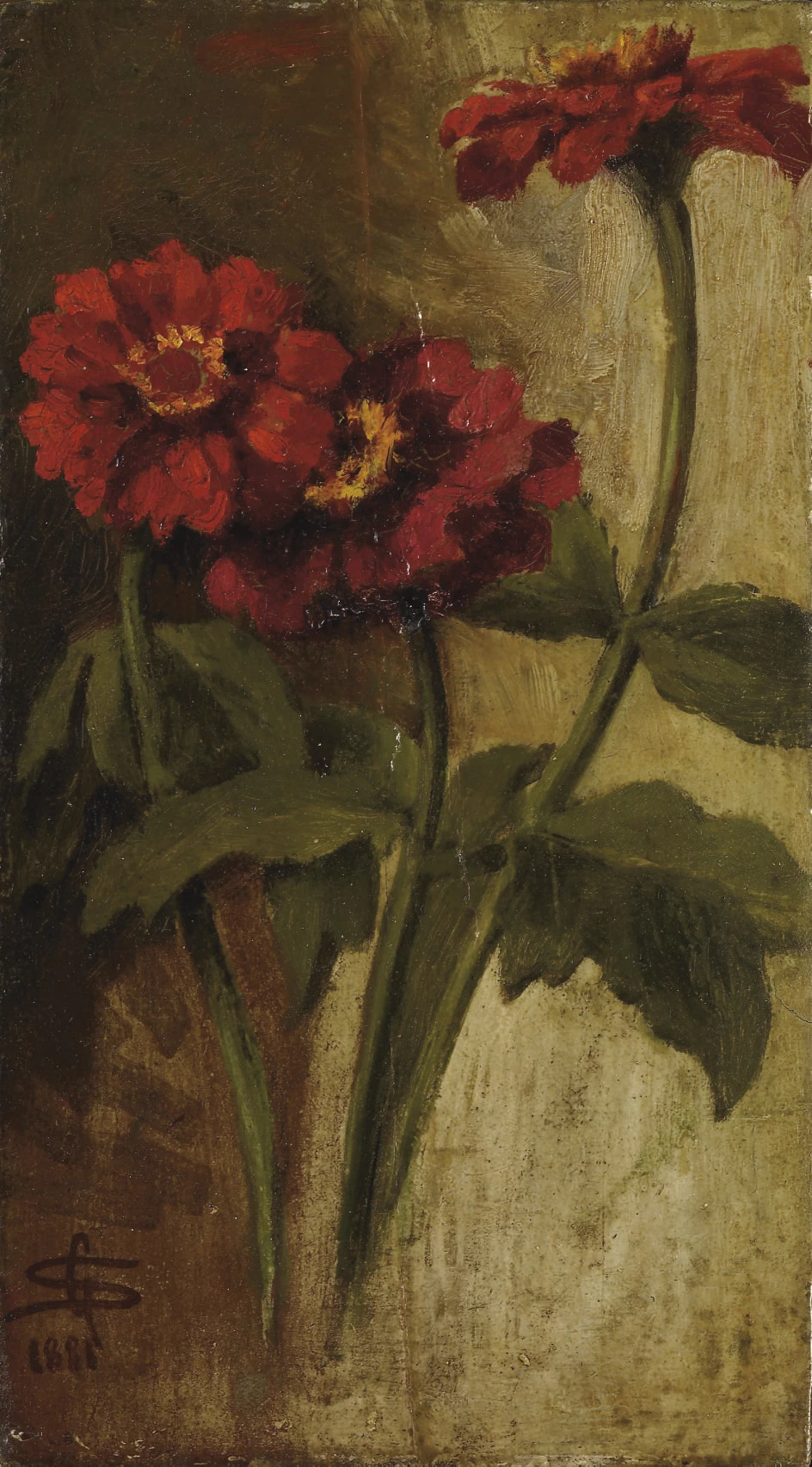 Zinnie rosse - Museo d’Arte Casa Console, Poschiavo